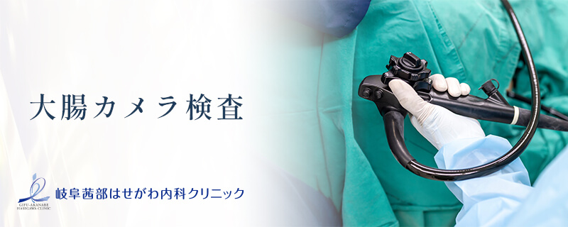 大腸カメラ検査 イメージ